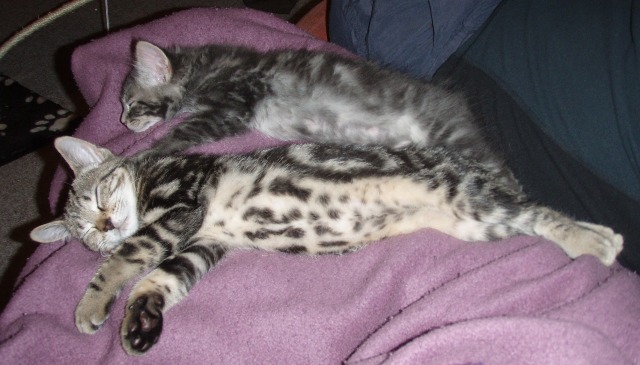 awbothtummies.JPG