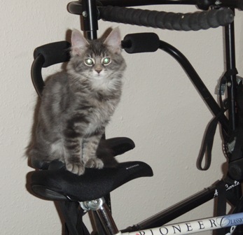 ebike.JPG
