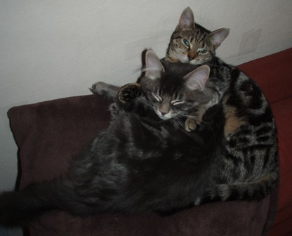 ekittiehug.JPG