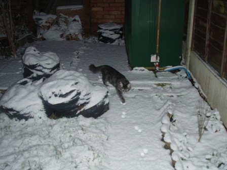 esnow1.JPG
