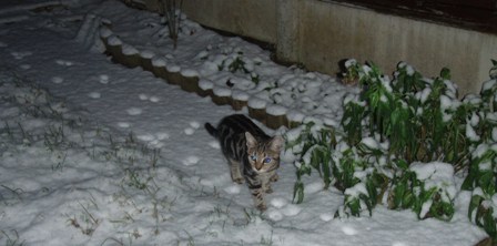 esnow2.JPG